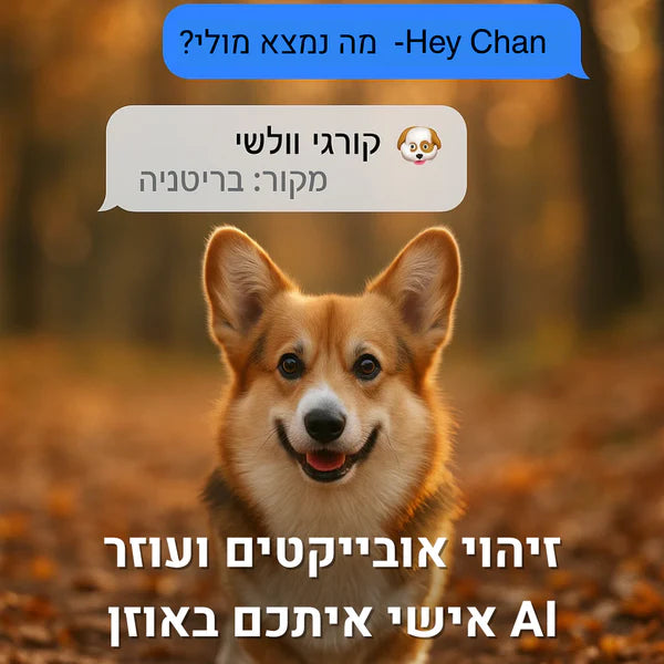 פיור קומפורט ויז'ן פרו – משקפי חכמים עם בינה מלאכותית