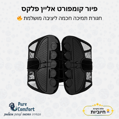 פיור קומפורט אליין פלקס – חגורת תמיכה חכמה ליציבה מושלמת