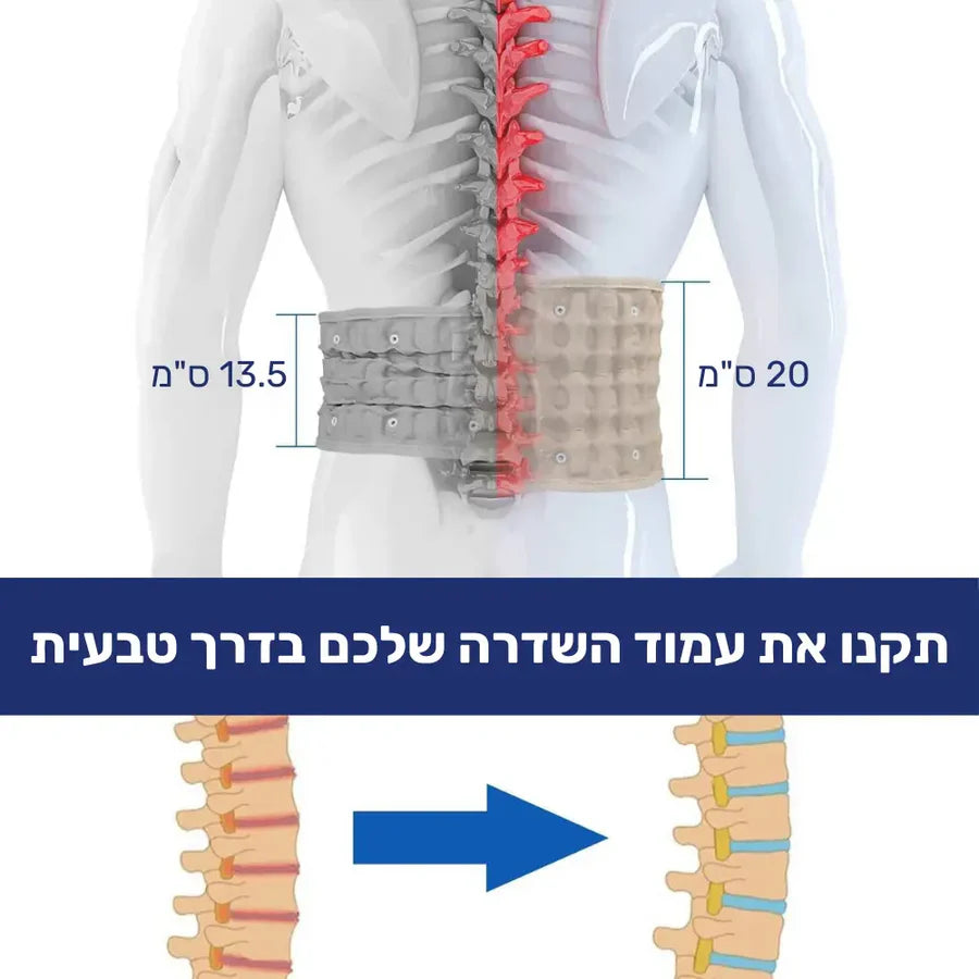 פיור קומפורט פלקס בק - חגורת דקומפרסיה אורטופדית להקלה על כאבי גב