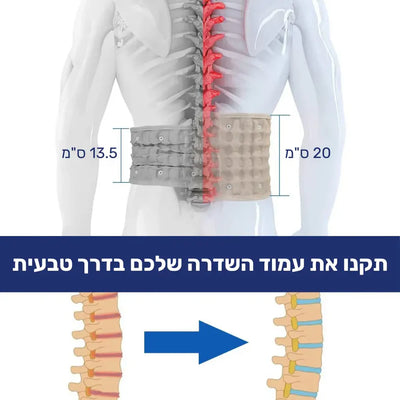 פיור קומפורט פלקס בק - חגורת דקומפרסיה אורטופדית להקלה על כאבי גב