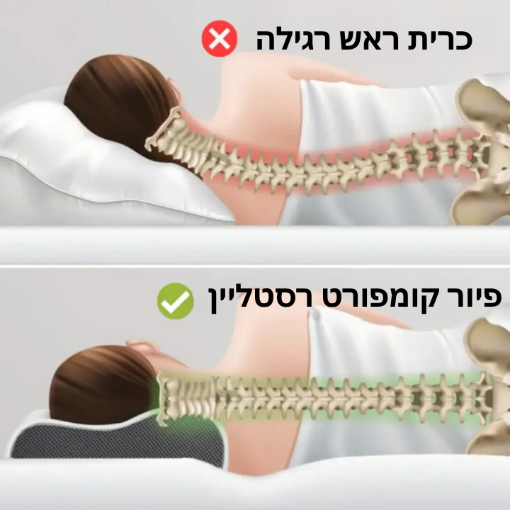 פיור קומפורט רסטליין – כרית זיכרון אורטופדית לתמיכה בצוואר ובגב העליון.