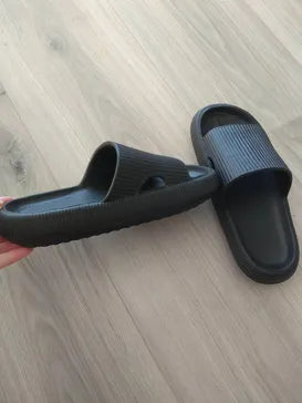 אלכס מלכה